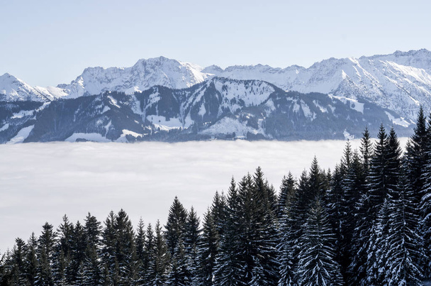 Forested mountain slope and mountain range with snow in low lying valley fog with silhouettes of evergreen conifers shrouded in mist. Scenic snowy winter landscape in Alps, Allgau, Bavaria, Germany. - Photo, Image