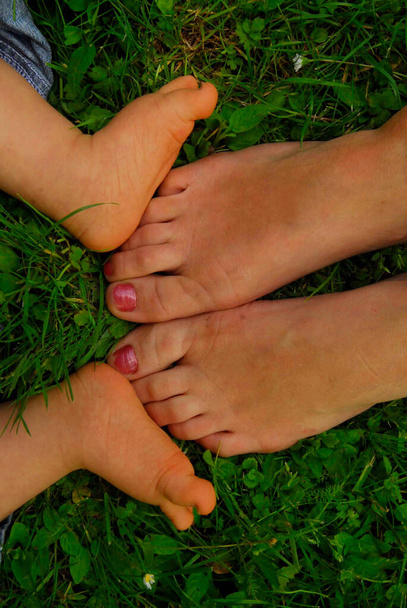 child and mother 's feet in grass - Фото, изображение