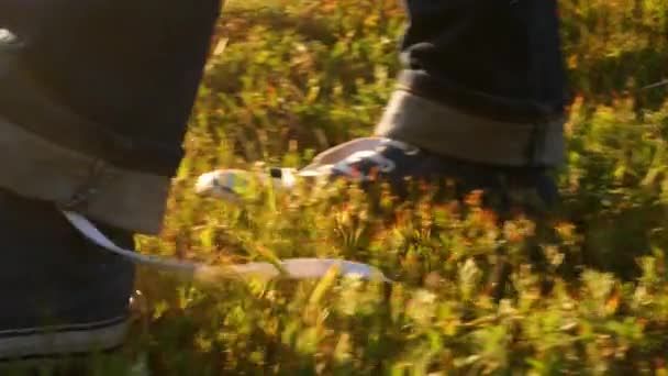Close up of person tying shoe laces and running along woods. Sport fitness outdoor on fresh air. Calves in denim sneakers walking on forest path. Lace up shoes. Untied shoelaces on morning green grass - Footage, Video