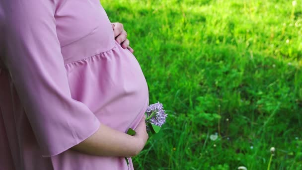 Zwangere vrouw strelen haar buik in het park - Video
