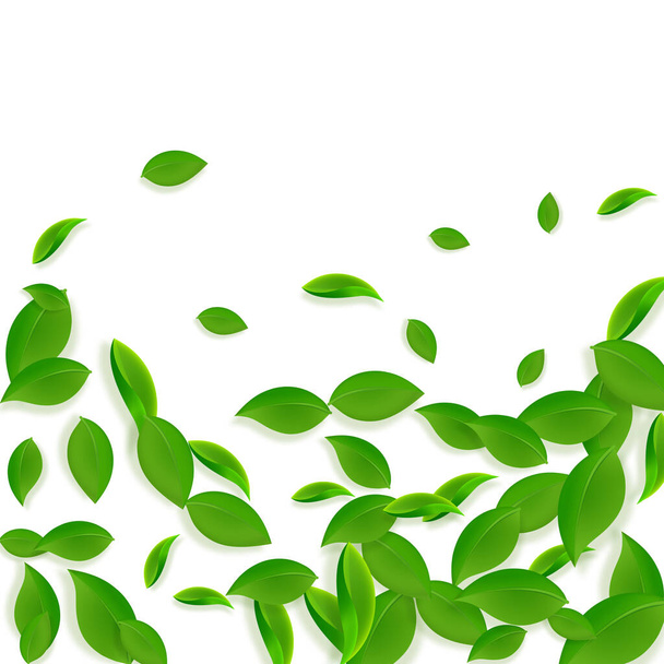 Zöldre hulló levelek. Friss tea kaotikus levelek repülnek - Vektor, kép
