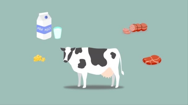 Verscheidenheid van verwerkte producten van koeien. Verwerkte producten van koeien. Koeien en producten. - Video