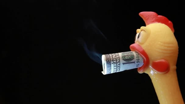 footage of chicken money smoke dark background  - Materiał filmowy, wideo