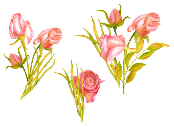 Akvarel sušené růže a listy kytice set. Ručně malované květinové aranžmá s podzimními barevnými větvemi izolované na bílém pozadí. Suché vinobraní rostlin na karty, dekorace, tisk - Fotografie, Obrázek