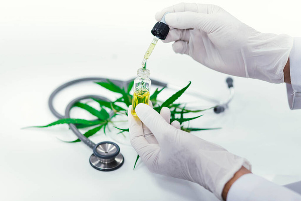 cientista em testes laboratoriais de óleo de cbd extraído de uma planta de maconha. Farmácia de cuidados de saúde de cannabis medicinal. - Foto, Imagem