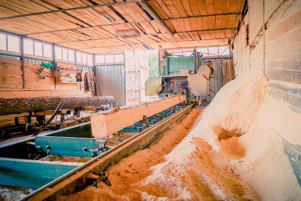 Pilařka. Proces obrábění klád v pilařském stroji pilky kmen stromu - Fotografie, Obrázek