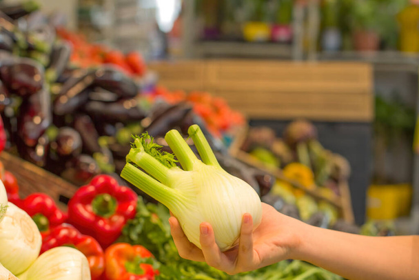 Female hand choosing ground zucchini in the store. Concept of healthy food, bio, vegetarian, diet. - Foto, immagini