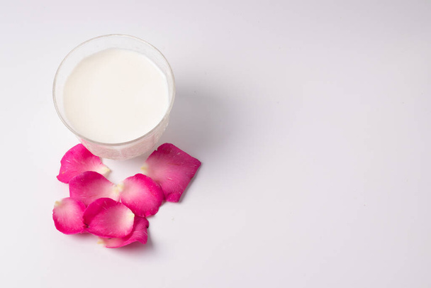 Fresh milk and pink rose petals. Copy area Top view - Photo, Image