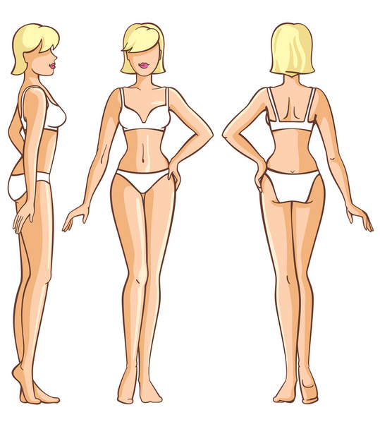 女性の体の前面、背面とサイドビュー - ベクター画像