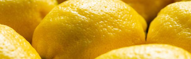 крупним планом вид стиглих жовтих свіжих лимонів, панорамний урожай
 - Фото, зображення