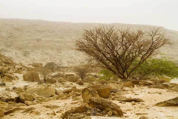 チャフカ・スターズ・バレー。Qeshm島、イラン。穏やかな砂嵐の中で撮影された写真. - 写真・画像