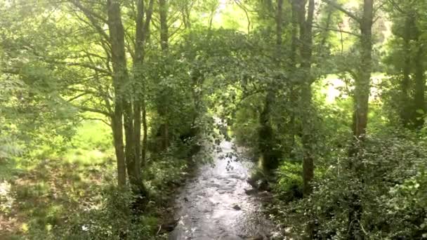 Rzeka Turia przechodzi przez małe miasteczko Mousende, położone w regionie Taramundi w Asturii, w otoczeniu gęstej zielonej roślinności. 4K - Materiał filmowy, wideo
