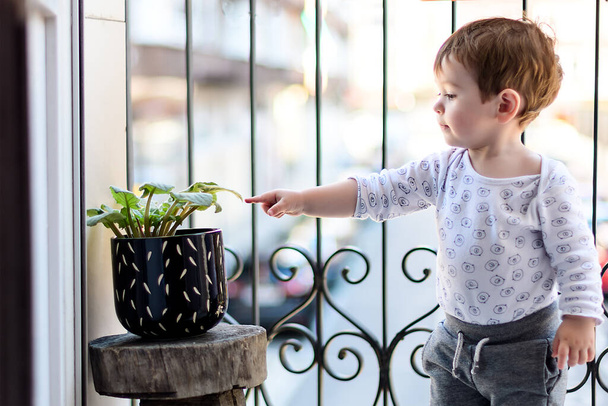 A year and a half old boy playing on the balcony and watching the cars go by in the quarantine is bored because he can't go out - Fotoğraf, Görsel