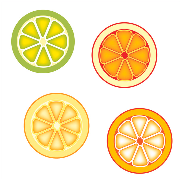 Zitrusfruchtscheiben: Orange, rote Grapefruit, Zitrone und Limette - Vektor, Bild