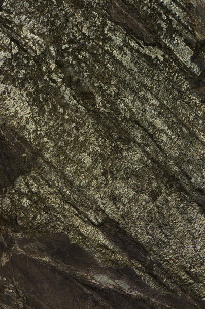Surface of the stone - Fotografie, Obrázek