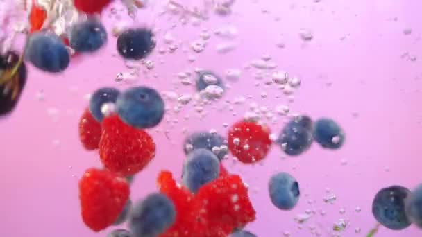świeże jagody wpadają do wody - Materiał filmowy, wideo