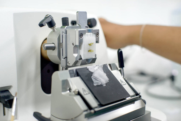 Pyörivä Microtome jakso diagnoosin patologian (Soft focus) - Valokuva, kuva
