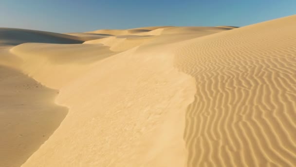 Kaunis aaltoileva hiekkadyynit lempeä auringonnousu valo, 4K antenni näkymä drone lento - Materiaali, video
