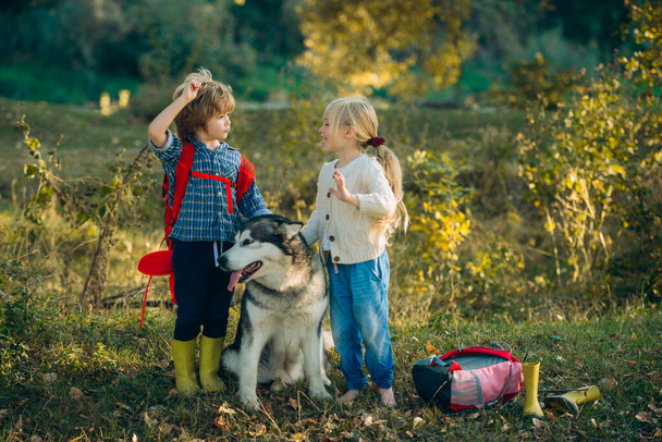 Children and dog exploring. Nature walk with kids and pet. Kids spending time together with a dog in field. Full length portrait. - Fotoğraf, Görsel