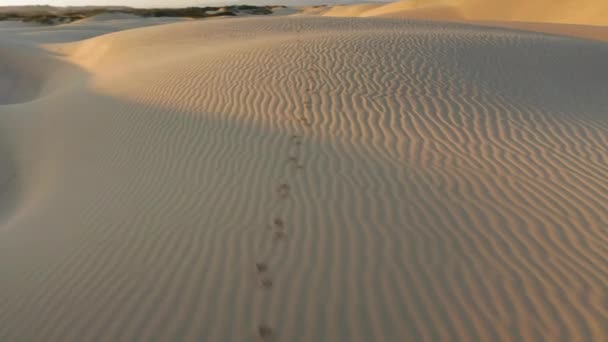 穏やかな日の出の光で印象的な波状砂丘、 4K空中ビュードローン飛行 - 映像、動画