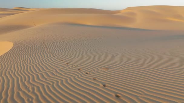 4K powietrza drone widok latający przez piękne faliste wydmy w delikatnym świetle wschodu słońca - Materiał filmowy, wideo