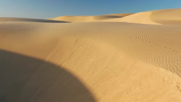 Kiehtovia aaltoilevia hiekkadyynit lempeä auringonnousu valo, 4K antenni näkymä drone lento - Materiaali, video