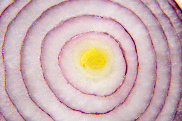 Onion texture - Foto, afbeelding