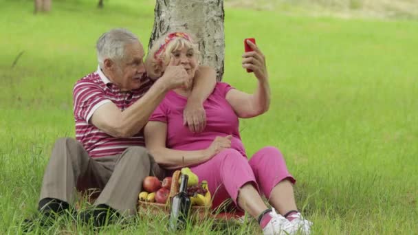 Сімейний пікнік на вихідні. Старші старі бабусі і дідусі пара в парку, використовуючи смартфон онлайн відео виклик
 - Кадри, відео