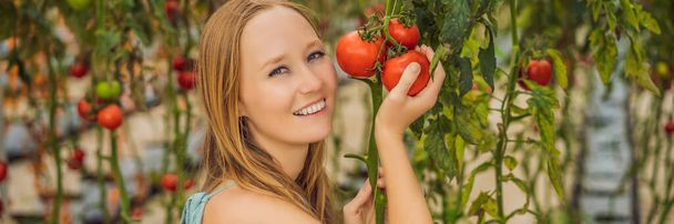 Primo piano della donna che tiene i pomodori sul ramo accanto al suo viso, pensando di mangiarlo BANNER, FORMATO LUNGO - Foto, immagini