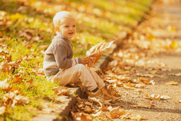 Autumn child have fun and playing with fallen golden leaves, autumn park. - Photo, Image