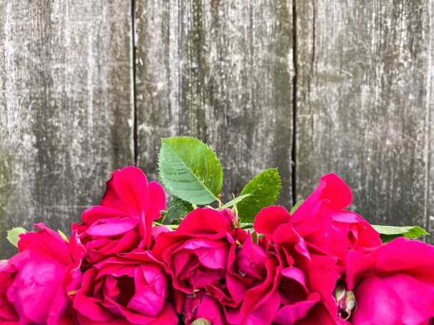 Λαμπερά μπορντό λουλούδια, άγρια τριαντάφυλλα, σε φόντο από αφηρημένη γκρι ξύλινη επιφάνεια. Ελεύθερος χώρος. - Φωτογραφία, εικόνα