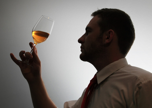 Expert du vin tester l'image de la silhouette du vin
 - Photo, image