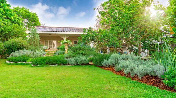 家の中で緑の芝生の芝生の裏庭に英語のコテージガーデン、ローズマリーハーブで飾られたインフォマの風景、銀の葉ラベンダー、緑の木や魅力的で良いメンテナンス造園で青空の下で彫刻  - 写真・画像