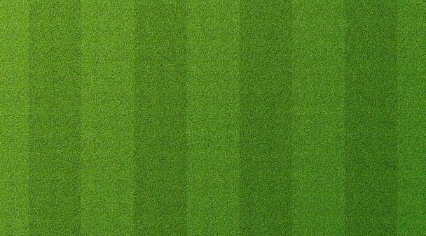 Green grass texture for sport background. Detailed pattern of green soccer field or football field grass lawn texture. Green lawn texture background. Close-up. - Photo, Image