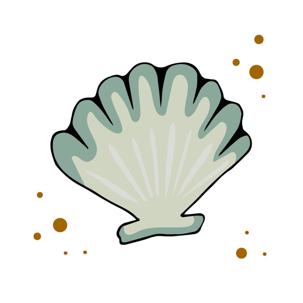 Ilustración vectorial de una concha marina, dibujada a mano en estilo garabato. Diseño para tarjetas de impresión, póster, textiles, papel de regalo
. - Vector, imagen