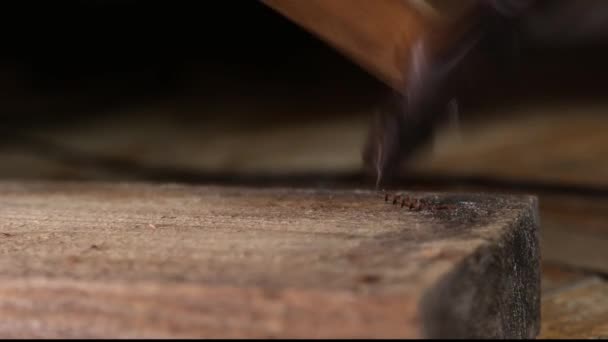 Usunięcie gwoździa ze stali nierdzewnej z deski drewnianej młotkiem uderza z bliska. Śruba samogwintująca redukuje się z powodu niewłaściwego użycia - Materiał filmowy, wideo
