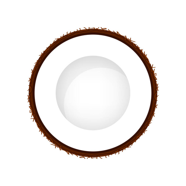 cocco marrone frutta metà taglio isolato su sfondo bianco, illustrazione cocco mezza fetta per clip art, frutta di cocco semplice per icona - Vettoriali, immagini