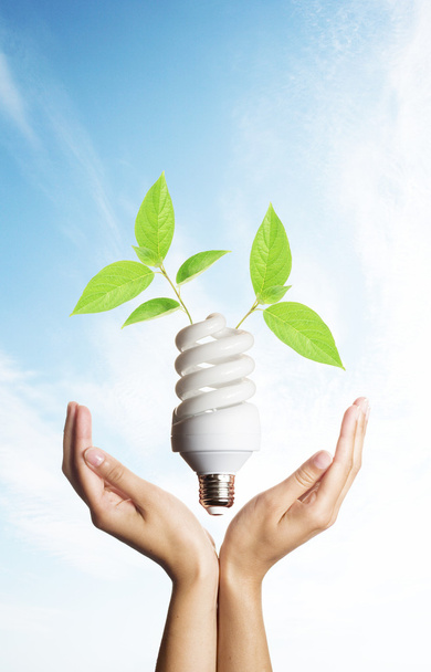 Энергосберегающая лампочка в руках с зелеными листьями
 - Фото, изображение