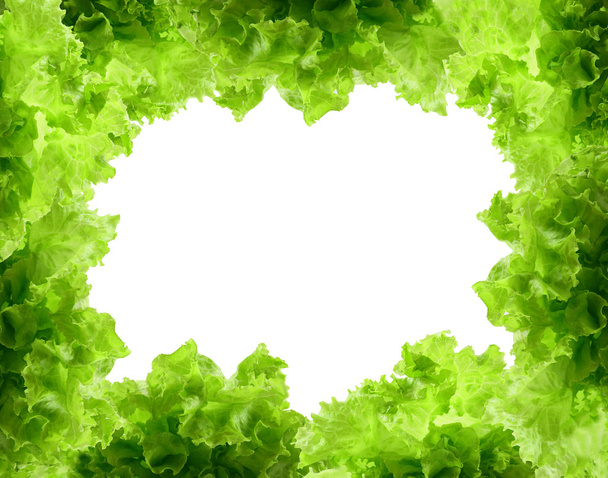 frischer grüner Salatrahmen - Foto, Bild