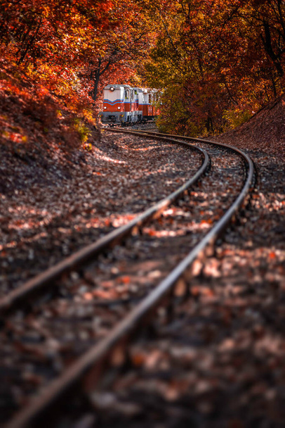 Budapest, Hungary - Beautiful autumn scenery with the Children's train on the S curve track in the Hungarian woods of Huvosvolgy with colorful orange and red colored autumn forest, leaves and foliage - Fotoğraf, Görsel