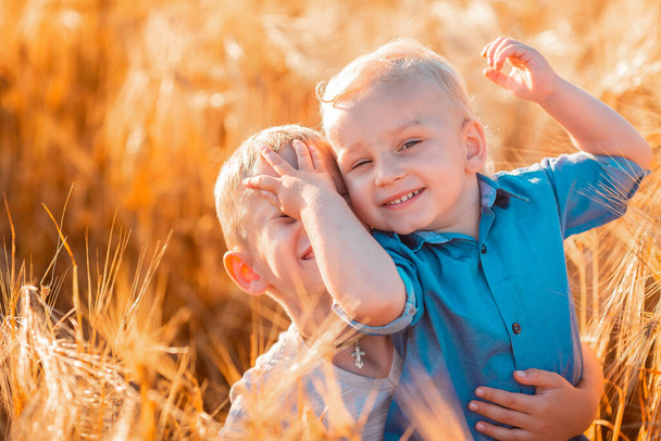 Cute little kids having fun in golden wheat field at the sunset - Photo, image