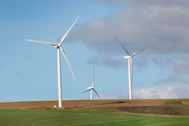 Power generating wind turbines in an agricultural field in South Africa. - Photo, Image