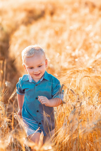 Cute baby boy running down golden wheat field at the sunset - Фото, изображение