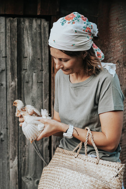 女性農家は手に小さな黄色い鶏を慎重に持ち、彼らの健康を監視し、それらを育てる。小さなホームファームとペッティング動物園のコンセプト - 写真・画像