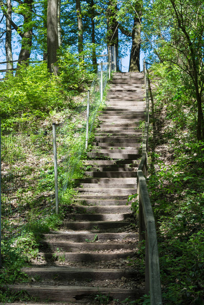 Forest trail, hiking trail in Neandertal with steep stairs - Foto, afbeelding