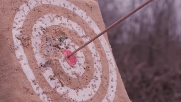 Una flecha de arco golpeó el objetivo - Metraje, vídeo