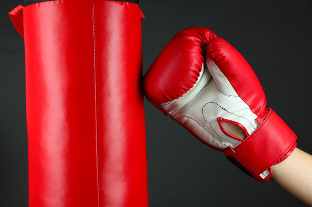 Box training and punching bag, isolated on black - Zdjęcie, obraz