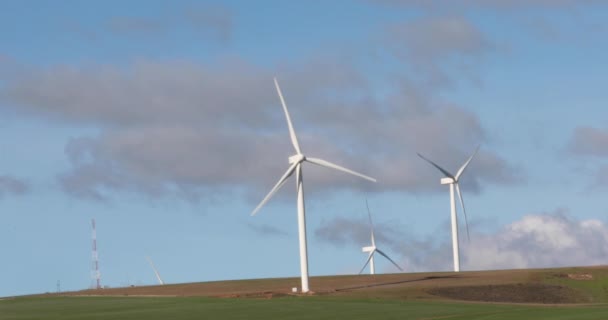 Tuulivoimapuisto Länsi-Cape Etelä-Afrikassa, joka toimittaa sähköä maan kansalliseen sähköverkkoon uusiutuvin keinoin. - Materiaali, video