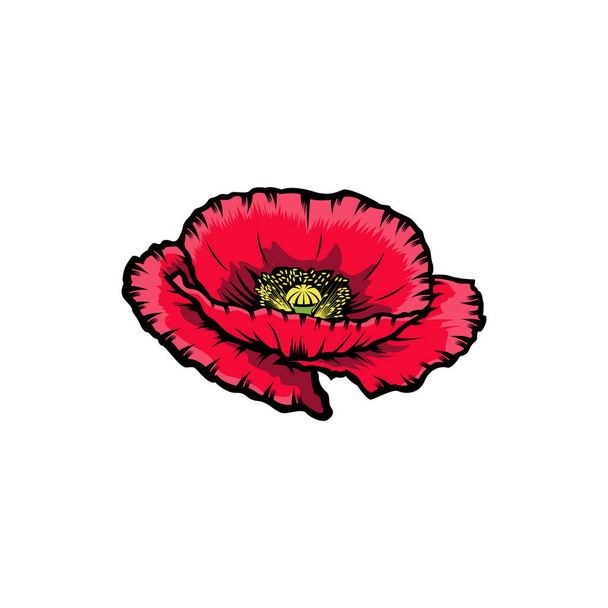 Vintage red blooming poppy flowers concept on white background isolated. Wild summer exotic leaf wildflower vector illustration. Big poppy element Idea for business visit card, typography vector, print for t-shirt. - Vector, Image
