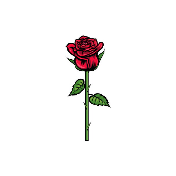 Ročník červená kvetoucí růže koncept na bílém pozadí izolované květinové botanické květiny. Vektorová ilustrace divokých jarních listů. Prvek růže Nápad na vizitku, typografický vektor, potisk na tričko. - Vektor, obrázek